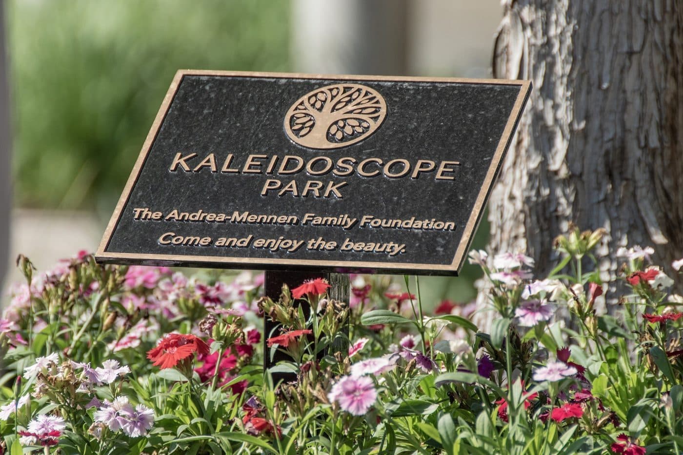 Dedication plaque surrounded by flowers in the park
